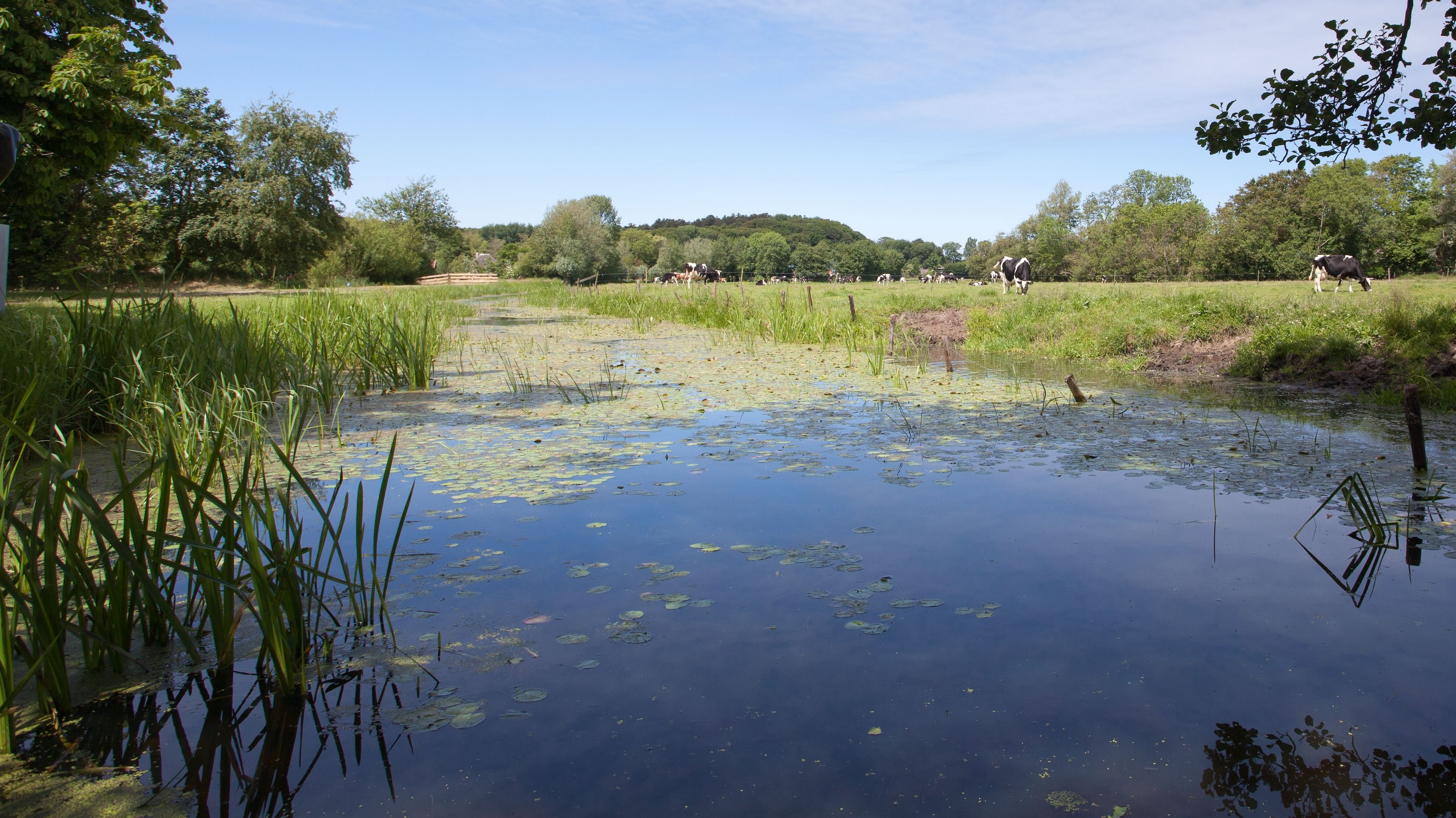 dinoterb HHNK Deltares